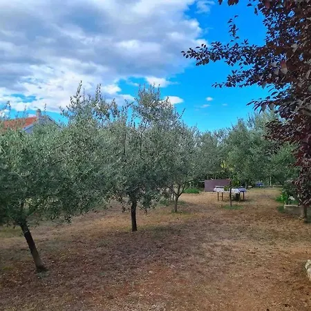 Adorable 2-person With Free Parking, Olive Garden & Open Terrace * 扎达尔